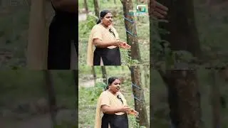 വീട്ടിലുള്ളവർ എന്നെ പഴയപോലെ തന്നെയാണ് കാണുന്നത് #reels #shorts #viralcontentcreator #meeshakkari