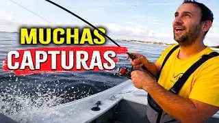 No me Esperaba esta Locura!! pescando desde Barco