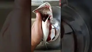 ASMR | HOW TO CLEAN FISH | REMOVING GILLS | SHORT MACKEREL FISH #fish #cleaning #shorts