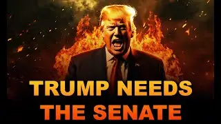 2024 SENATE PREDICTION AS OF FEB 19...(2024 Election Analysis)