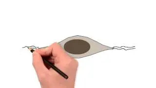 What is Restorative Mechanotherapy