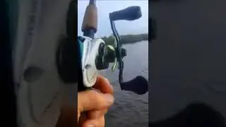 Catching Flounder with jig-heads and soft plastics.