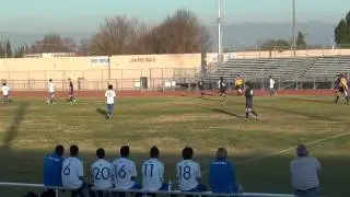 Santa Clara Bruins Soccer