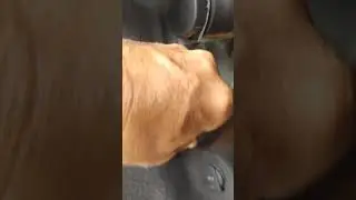 como retirar a lanterna traseira do Fox 2&deg;gera&ccedil;&atilde;o ☝️ simples &eacute; f&aacute;cil! APRENDA AQUI.😀