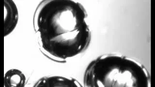 double emulsions with a rigid shell.avi