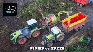 530 HP vs Trees | Claas Xerion 5000 & MUS-MAX Wood Terminator 12
