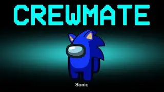 Among Us but Sonic is the Crewmate
