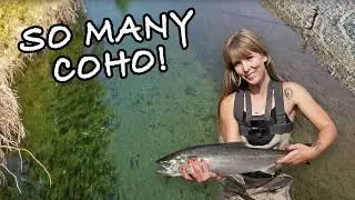 Fly Fishing for Coho Salmon With My Dad #salmonfishing #flyfishing #fishing #cohosalmon