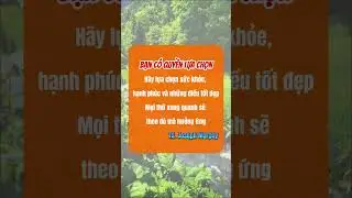 Bạn c&oacute; quyền lựa chọn #hoangminhmaster #mastercoach #manifest #luathapdan #sucmanhtiemthuc #nlp