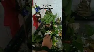second somvar of sawan 🙏🏻🔱🕉️ #shortvideo