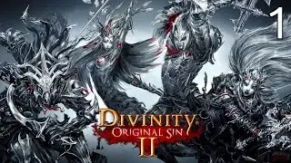 The Origin of Fane | Divinity: Original Sin 2 | Part 1 | No Commentary