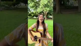 JESUS &Eacute; O CAMINHO A VERDADE E A VIDA