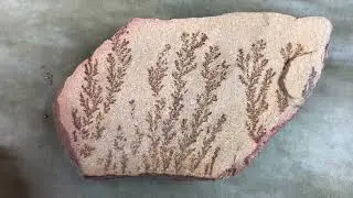 Soft Sandstone to Super Hard Quartzite