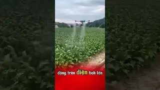 #caytrong #kythuatcaytrong #fruittrees