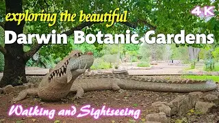 DARWIN BOTANIC GARDENS | Exploring Walk Tour 2024 | Northern Territory Australia 🇦🇺 | George Brown