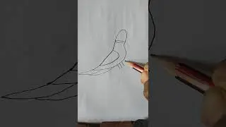Drawing beautiful parrot with 5 number #bast#drawing 