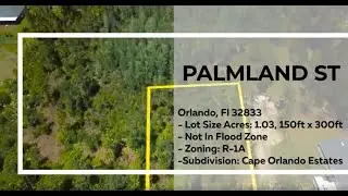 Palmland St. Orlando (Wedgefield) FL (MLS)