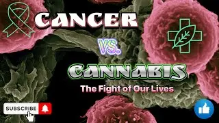 Canna-Care: Supporting Cancer Patients