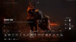 Call of Duty: Vanguard - All New Killstreaks!!