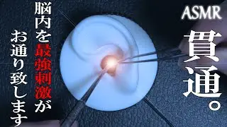【ASMR】脳内を世界最強刺激が貫通するステンレス耳かき Penetration into the brain / Ear Cleaning / CS-10EM / 音フェチ / No Talking
