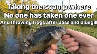 Exploring snake infested side of pond