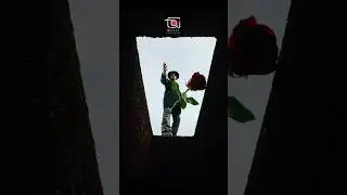 ❤️Photography tricks & ideas❤️ #shorts #viral #topchannel #ytshorts #trending #foryou #dotframe