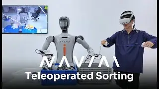 NAVIAI humanoid robot：Teleoperated Sorting