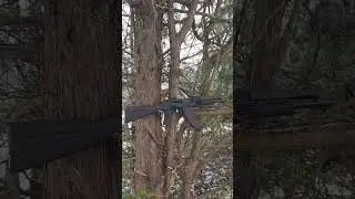 PSA AK GF3. Best budget ak?#PalmettoStateArmory #hunting #psa #ak47shorts #guncommunity