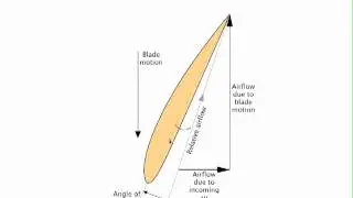 Bio-Aerial Locomotion: Flapping flight, part 1
