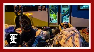 DC wants federal government to solve migrant crisis as it buckles under influx