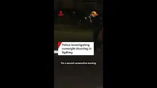 Police investigating overnight shooting in Sydney