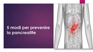 5 modi per prevenire la pancreatite | Evasione Shedir Pharma