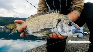 #18 棒ウキで冬チヌ連発