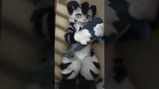 Do you love Blahaj? I do! #blahaj #fursuit #furry #cute