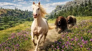 Run for Survival: Perlino Horse Chased by Two Grizzly Bears