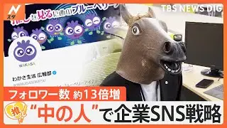 フォロワー約13倍に急増！「わかさ生活」の中の人は“馬”の広報　人気の秘訣は？最多いいねは「 #欠勤届を提出した 」投稿？【ゲキ推しさん】｜TBS NEWS DIG