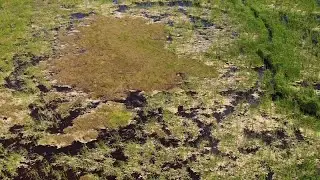 What Can Be Saved? Efforts to restore Everglades