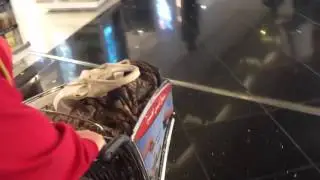 Dubai airport trolley Duty free