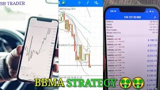 BBMA Trading Strategy High win Rate 90+%