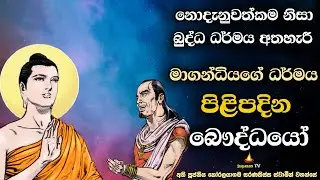 සංසාර නම් රෝගය නිසා තැවෙන මිනිස්සු |  People suffering from samsara