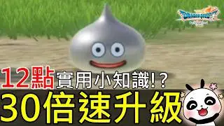 【勇者鬥惡龍7 Reimagined】開局30倍速升級！1場3000經驗速刷金屬史萊姆＋12個新手必看超實用技巧【Switch 2】