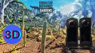 [4K][3D] Gibraltar - Botanic Gardens (3D screens optimised)