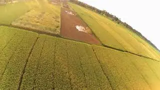 Alone.....   (Testing Dshoot 1200 ESC HAKRC 35A) #FPV