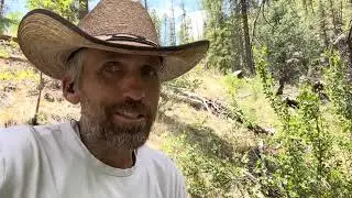 Fishing Reservation Creek unit 1 AZ, bear, bobcat, brown and rainbow trout