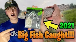 Googan Baits Zinger Unboxing - Fishing - Review  | BEST Googan Bait