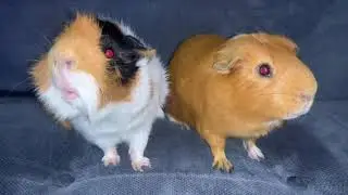 Cleaning time
