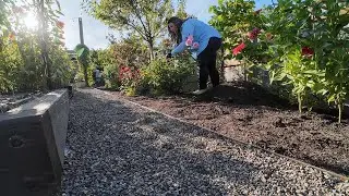 Garden Chores & Projects: Deadheading, Compost Mulching, Harvesting Pumpkins, A Tear or Two, & More!