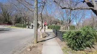 Raleigh - Oakwood / Person Street District - Walking Tour (4K)
