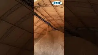 Patz Belt Feeders - Material Handling Solution