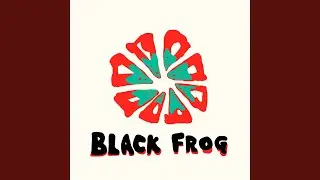 Black Frog
